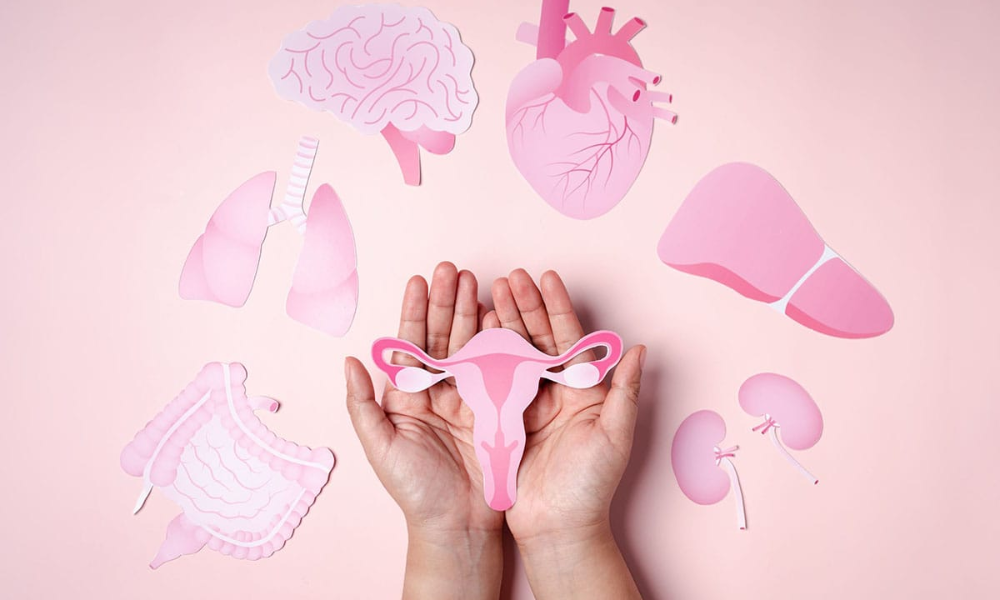Perimenopausa e Ganho de Peso: Por que as dietas tradicionais falham após os 40 anos?