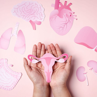 Perimenopausa e Ganho de Peso: Por que as dietas tradicionais falham após os 40 anos?